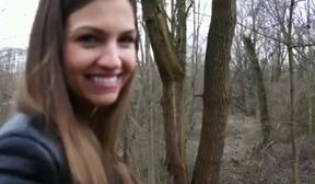 a walk in the woods